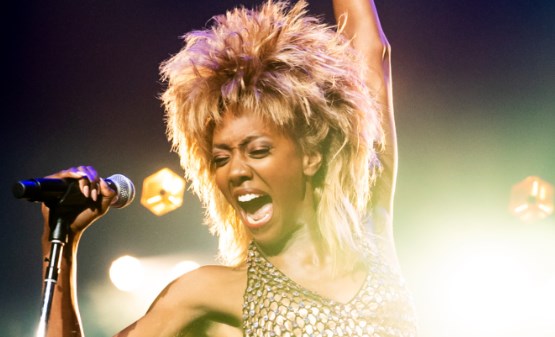 Tina Turner Wig: What Does It Look Like and Where to Buy? - Hair System