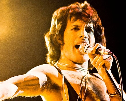 The Enduring Appeal Of Freddie Mercury's Hair - Hair System